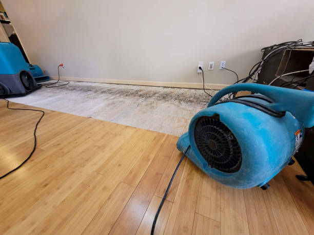 Professional Basement Flood Cleanup technician working in Shelton, WA